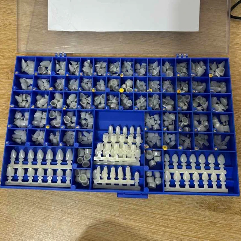 Teeth Whitening Moulds - Molar dental pré-olar anterior cuspid coroas