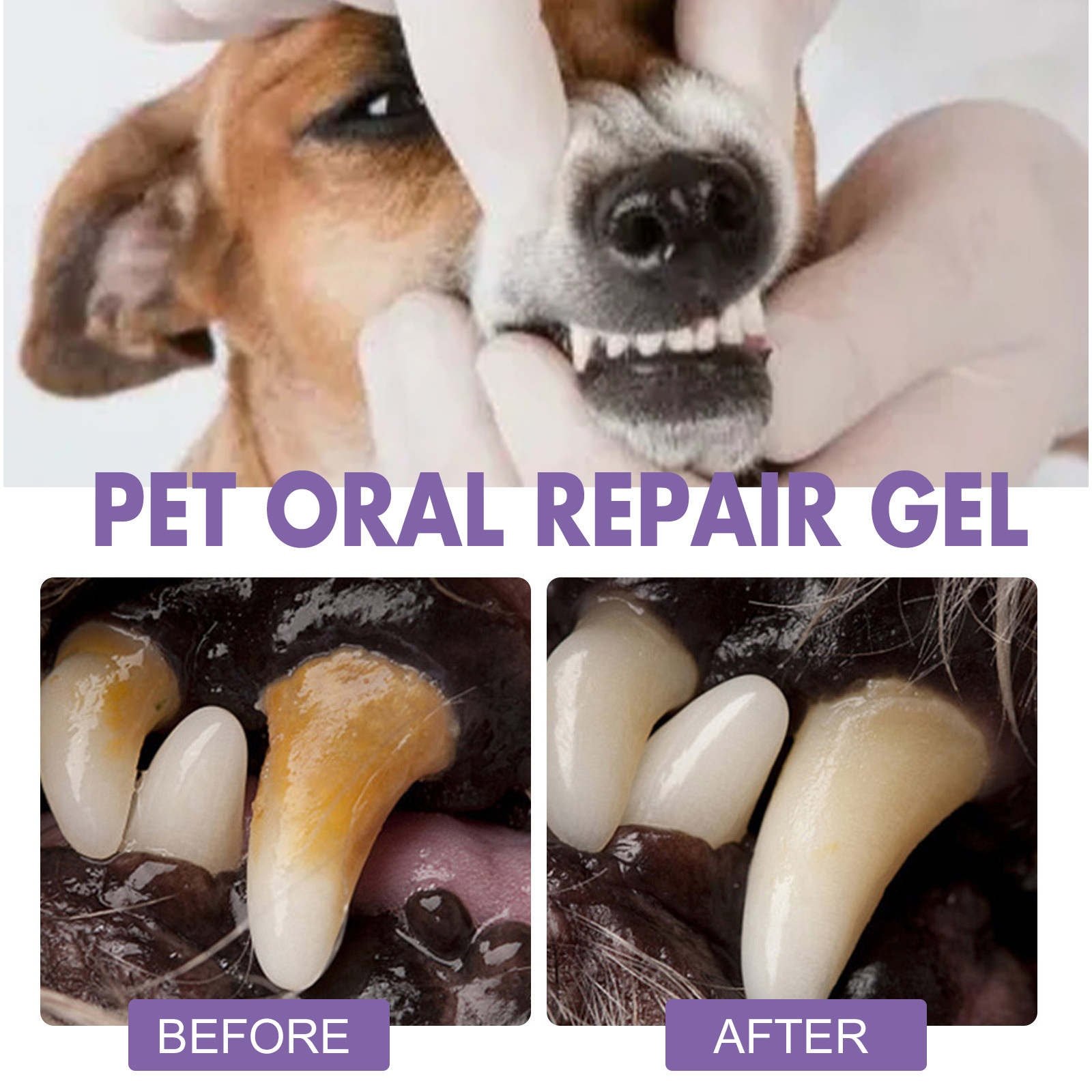 Gel de reparação oral para ani - Teeth Whitening Results avaliação e preço